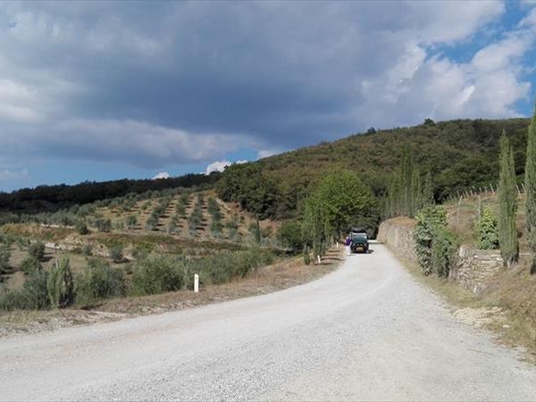 Camping Orlando in Chianti - foto 38355.jpg