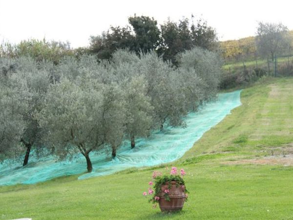 Casa Vacanze Il Cigliere - foto 38363.jpg