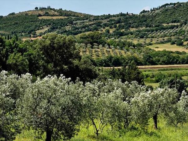 Relais I Piastroni - foto 38414.jpg