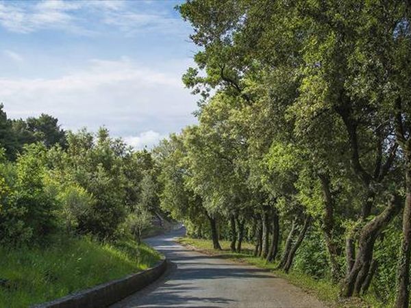 Relais I Piastroni - foto 38420.jpg