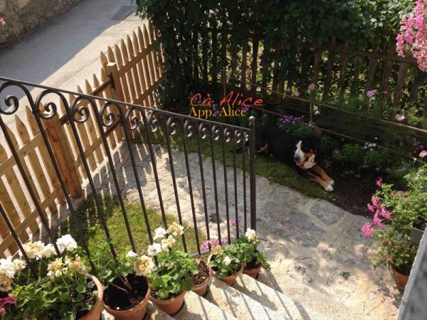 C� Alice... Cuccia e Relax al Lago di Ledro - foto 38430.jpg