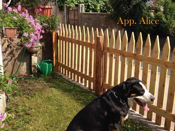 C� Alice... Cuccia e Relax al Lago di Ledro - foto 38431.jpg