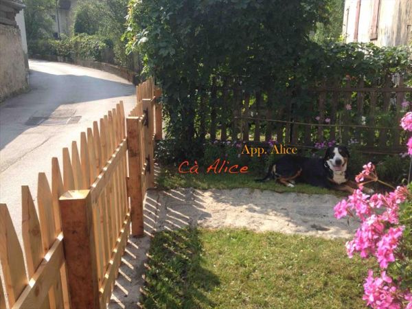 C� Alice... Cuccia e Relax al Lago di Ledro - foto 38432.jpg