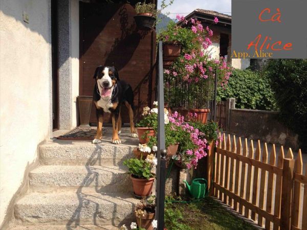 C� Alice... Cuccia e Relax al Lago di Ledro - foto 38433.jpg