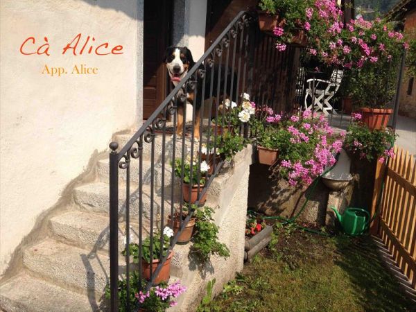 C� Alice... Cuccia e Relax al Lago di Ledro - foto 38434.jpg