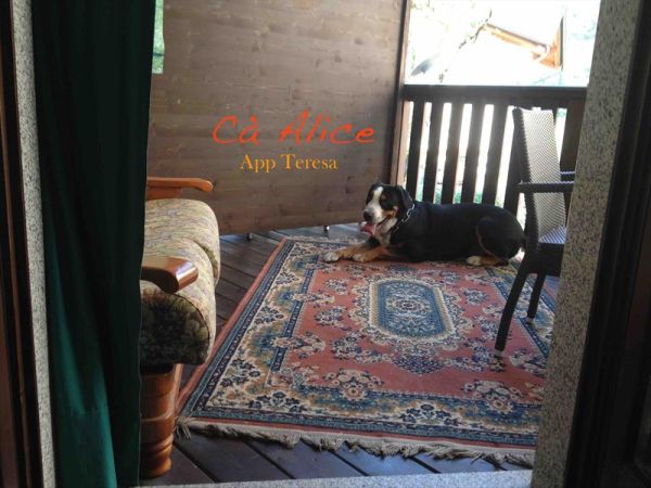 C� Alice... Cuccia e Relax al Lago di Ledro - foto 38435.jpg