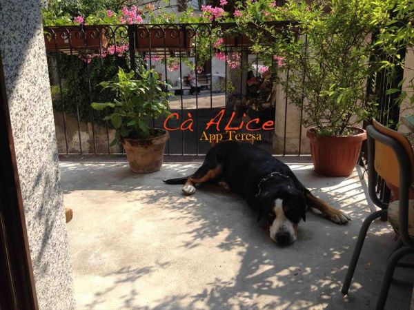 C� Alice... Cuccia e Relax al Lago di Ledro - foto 38439.jpg