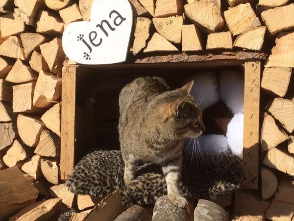 Alpine Touring Hotel - foto 38462.jpg