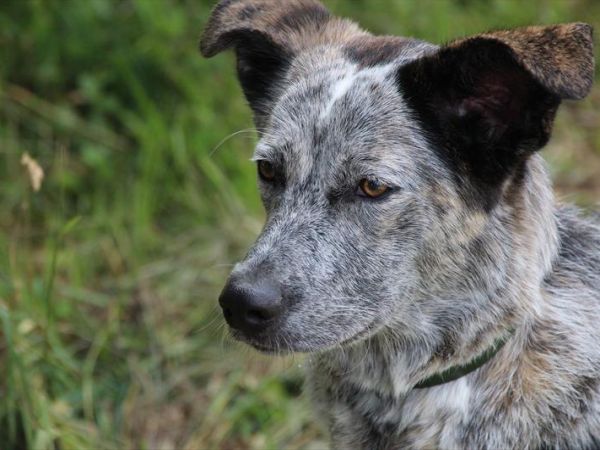 Hotel Montana - foto 38475.jpg