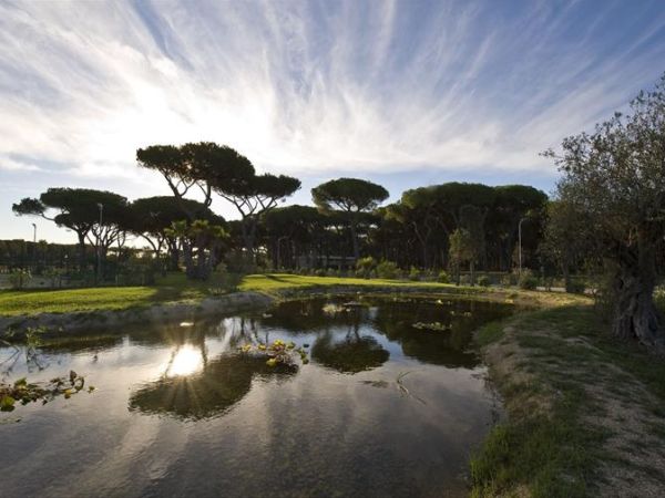 Camping Roma Capitol - foto 38514.jpg