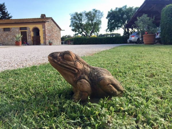 Agriturismo la Ranocchiaia - foto 38535.jpg