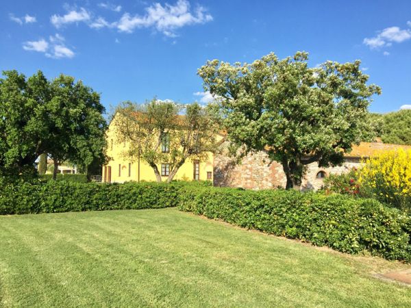 Agriturismo la Ranocchiaia - foto 38536.jpg