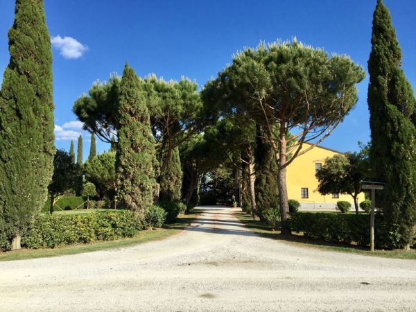 Agriturismo la Ranocchiaia - foto 38541.jpg