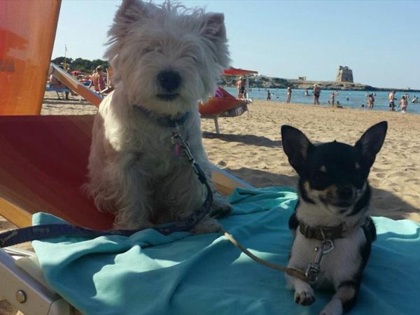 Sfinal Residence - foto 38583.jpg