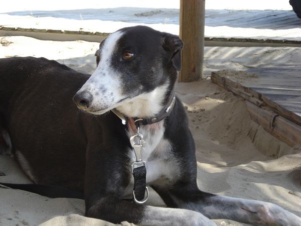 Baia di Maui - foto 2122.jpg