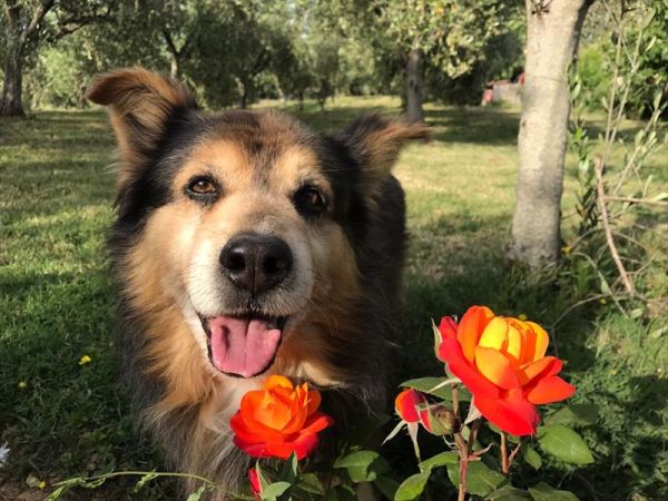 Agriturismo Costa Etrusca - foto 38687.jpg