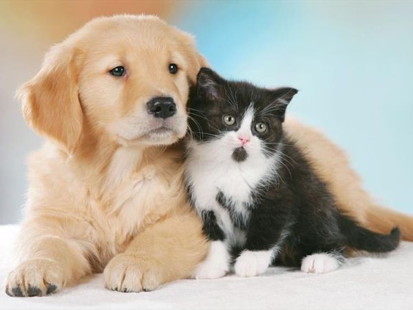 Casa Vacanze Shanaia - foto 38719.jpg