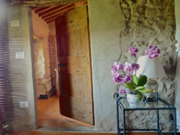 Agriturismo i Pitti - foto 38744.jpg