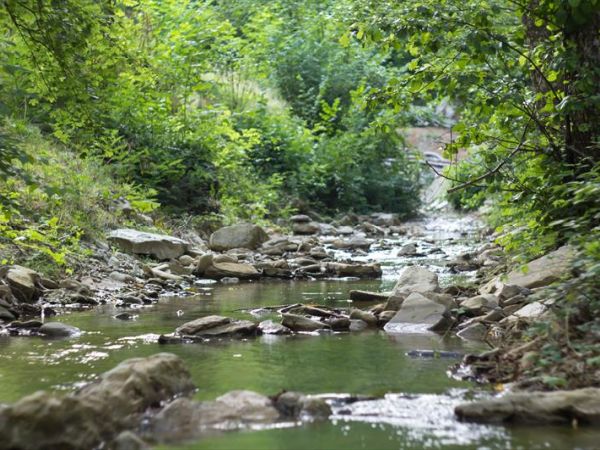 Camping Le Sorgenti - foto 38771.jpg