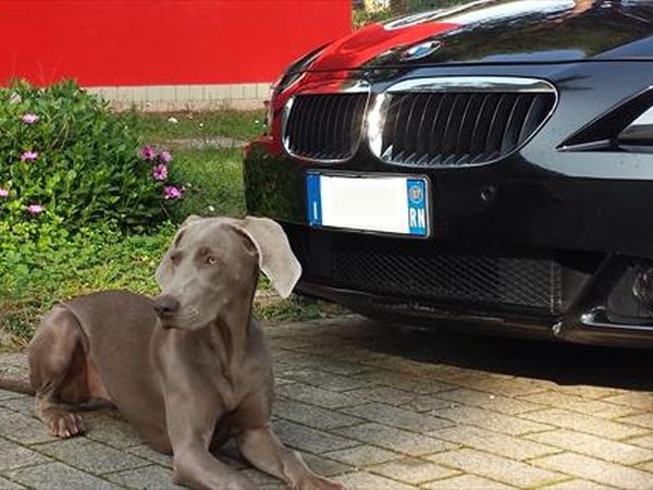 Villaggio Mithos *** - foto 38795.jpg