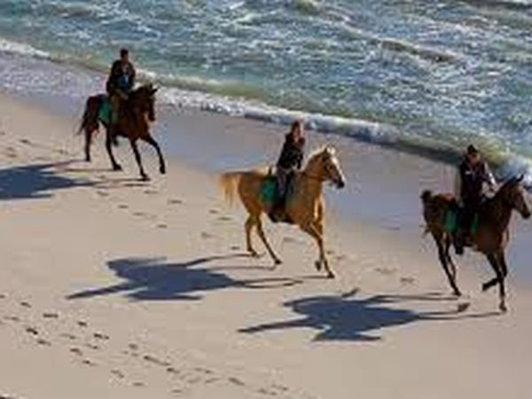 Hotel Tortoreto Costa Verde - foto 38843.jpg