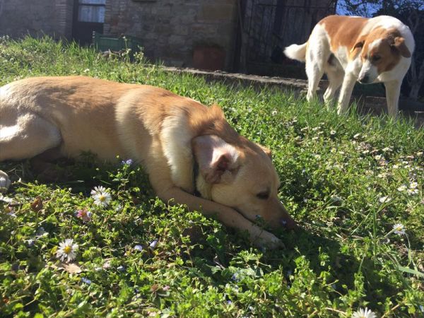 Agriturismo Calagrana - foto 38941.jpg