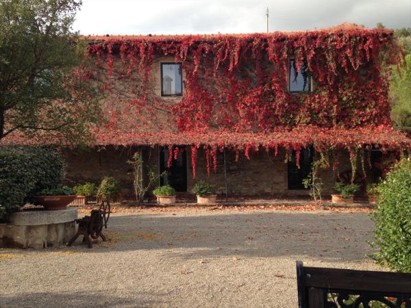 Agriturismo San Ottaviano - foto 38944.jpg