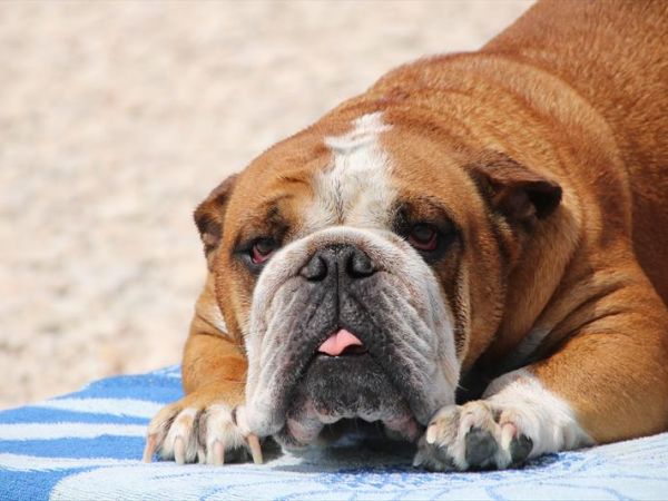 Baia Canaria - foto 39170.jpg