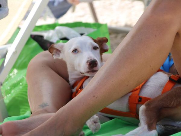 Baia Canaria - foto 39171.jpg