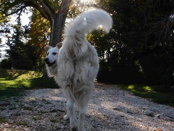 Agriturismo Borgo Spante - foto 39174.jpg