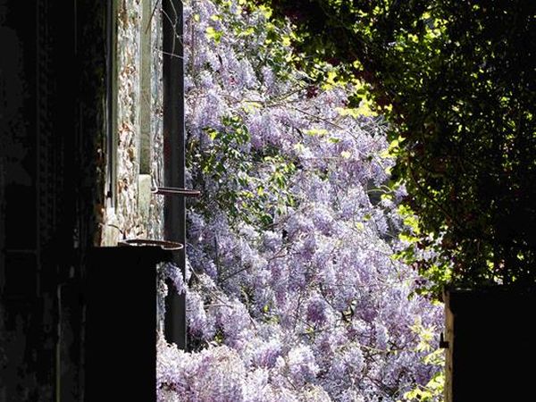 Agriturismo Borgo Spante - foto 39203.jpg