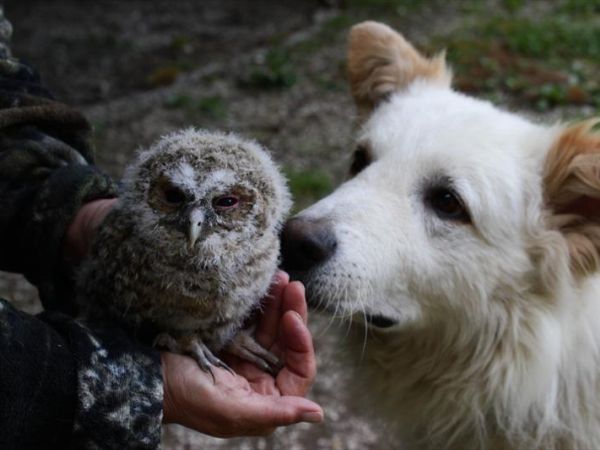 Agriturismo Borgo Spante - foto 39204.jpg