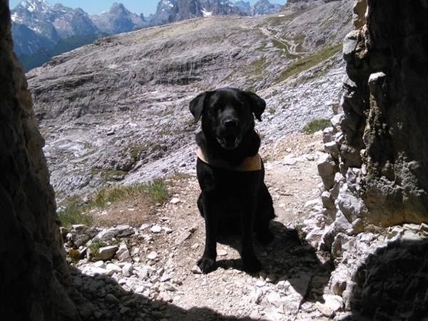 Hotel Alpenrose - foto 39270.jpg