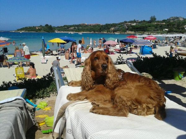  Da Roberto -Spiaggia Ira- Porto Rotondo - foto 39314.jpg