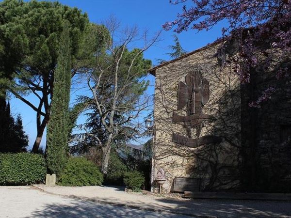 Azienda Agricola Frascole - foto 39393.jpg