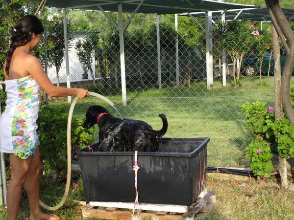 Hotel Ponte - foto 39420.jpg