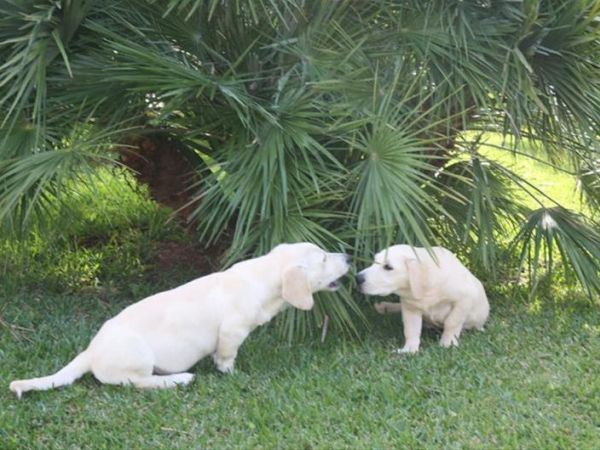 Agriturismo Il Piccolo Lago - foto 39449.jpg