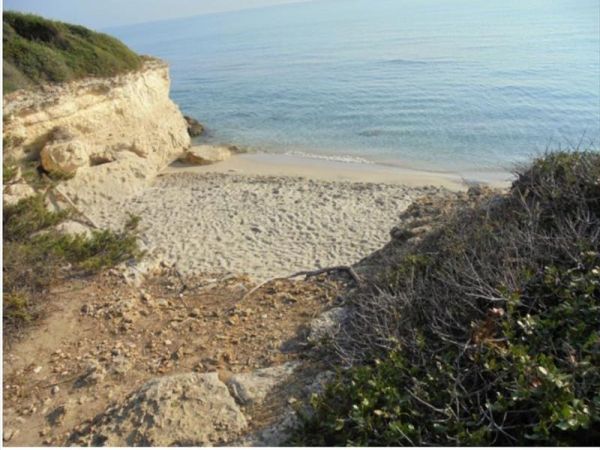 Agriturismo Il Piccolo Lago - foto 39476.jpg