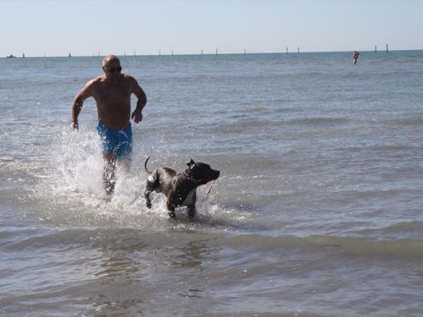 La Spiaggia di Duke - foto 39504.jpg