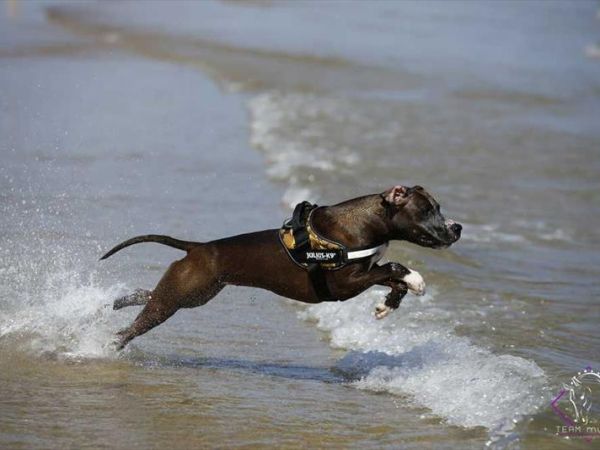 La Spiaggia di Duke - foto 39507.jpg