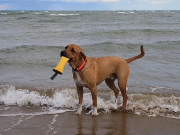 La Spiaggia di Duke - foto 39509.jpg