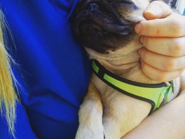 Hotel Universo - foto 39640.jpg