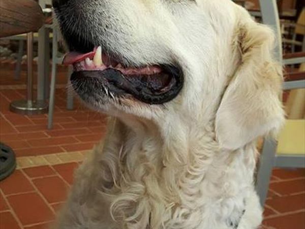 Hotel Altafiumara Resort & Spa - foto 39746.jpg