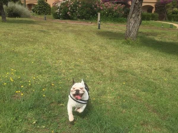 Hotel Altafiumara Resort & Spa - foto 39747.jpg