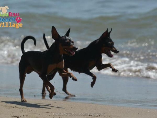 Bau Bau Beach Village - foto 39854.jpg