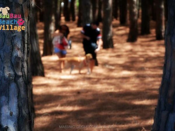 Bau Bau Beach Village - foto 39855.jpg