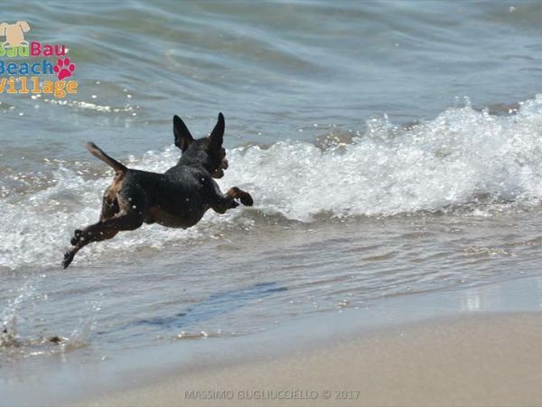 Bau Bau Beach Village - foto 39857.jpg