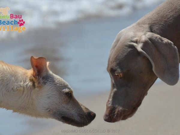 Bau Bau Beach Village - foto 39860.jpg