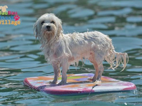 Bau Bau Beach Village - foto 39862.jpg