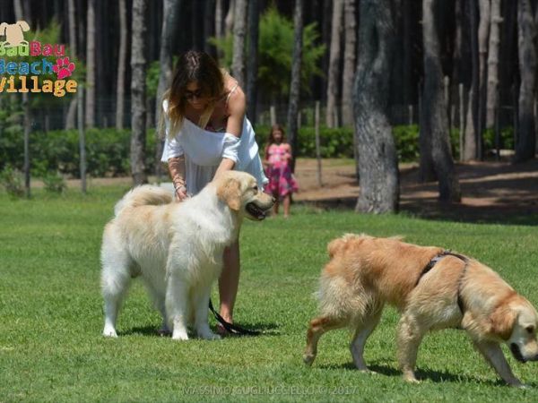 Bau Bau Beach Village - foto 39866.jpg